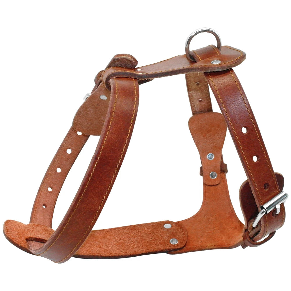 Rotterdam Luxury Cognac Leather Dog Harness: Premium Genuine Leather Walking & Training Vest for Strong, Medium & Large Dogs