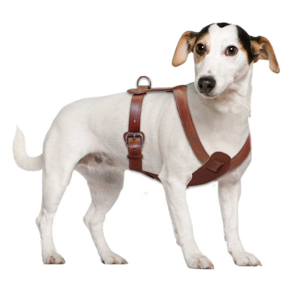 Rotterdam Luxury Cognac Leather Dog Harness: Premium Genuine Leather Walking & Training Vest for Strong, Medium & Large Dogs