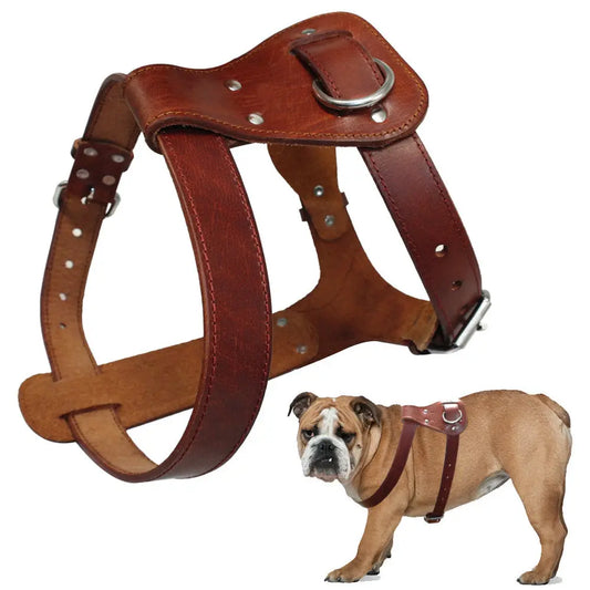 Rotterdam Luxury Cognac Leather Dog Harness: Premium Genuine Leather Walking & Training Vest for Strong, Medium & Large Dogs