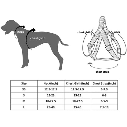 Oxfordshire Plaid Blue Dog Harness with Bowtie and Leash Collection