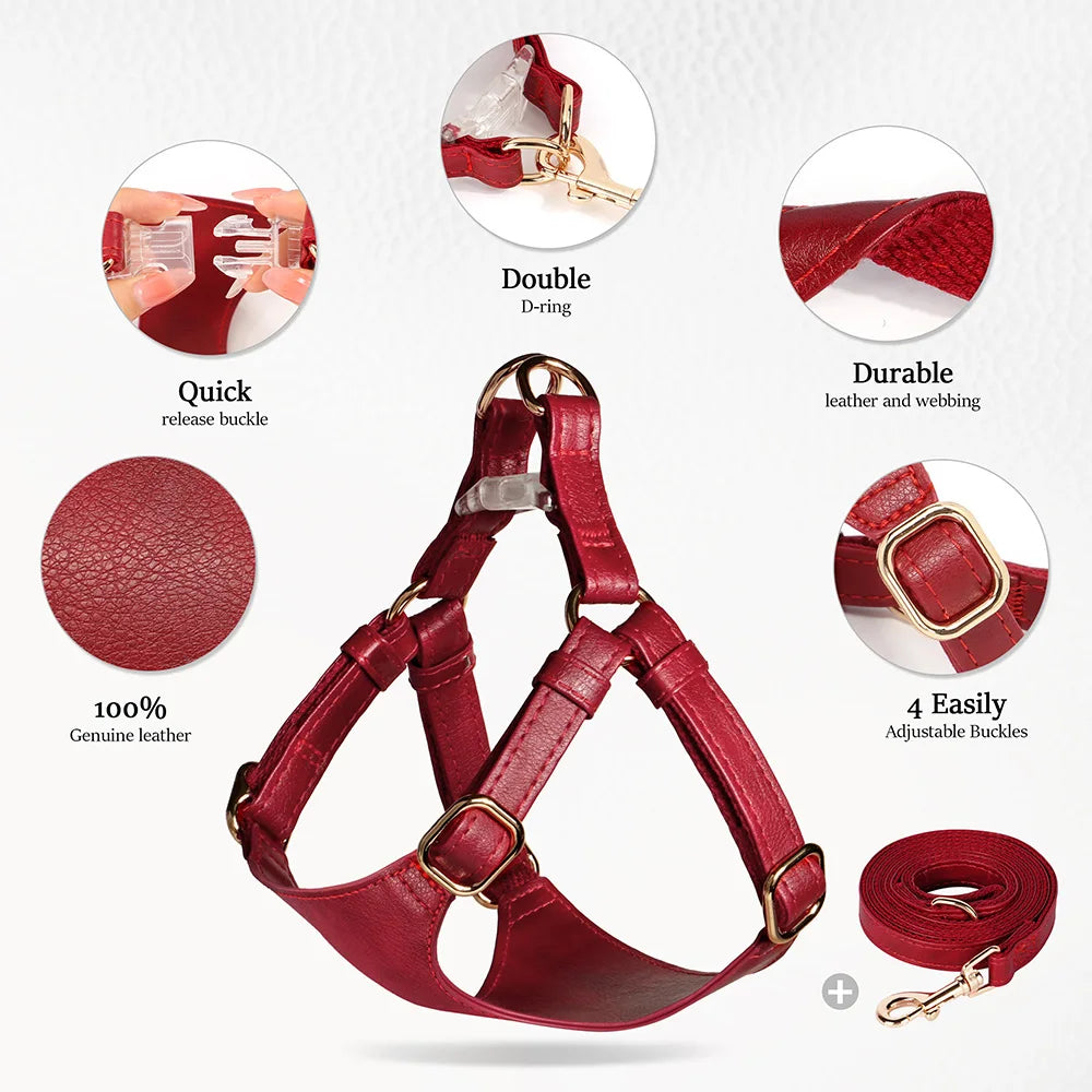 Bordeaux Luxe Leather Dog Harness & Leash Set: Exquisite Comfort for Sophisticated Small & Medium Dogs