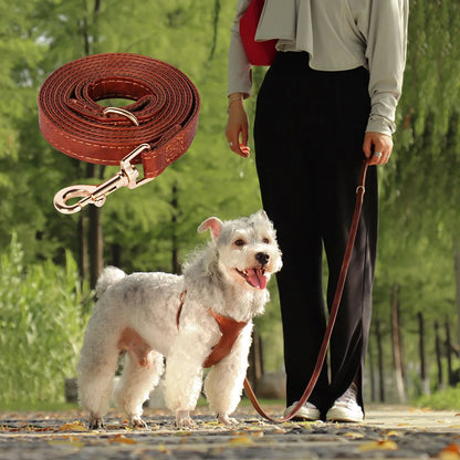 Bordeaux Luxe Leather Dog Harness & Leash Set: Exquisite Comfort for Sophisticated Small & Medium Dogs