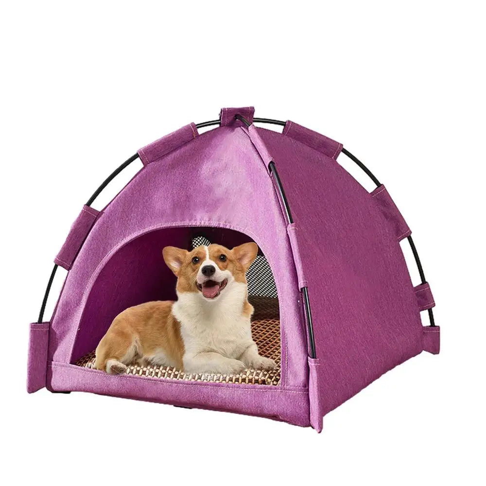 LAST ONE: Royal Rover Retreat in Twilight Purple: Luxury Portable Dog Tent