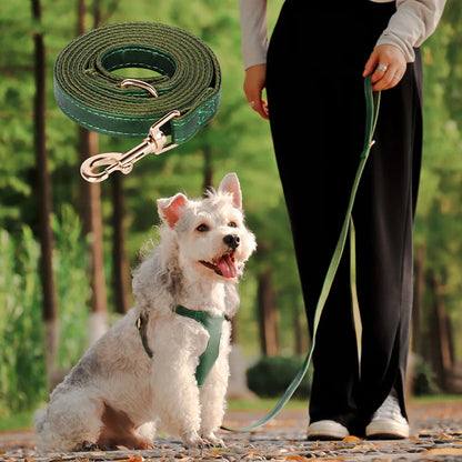 Bordeaux Luxe Leather Dog Harness & Leash Set: Exquisite Comfort for Sophisticated Small & Medium Dogs