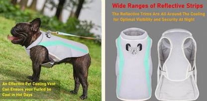 Chill Pup: Summer Cooling Vest Harness for Dogs – Stay Cool, Stay Safe