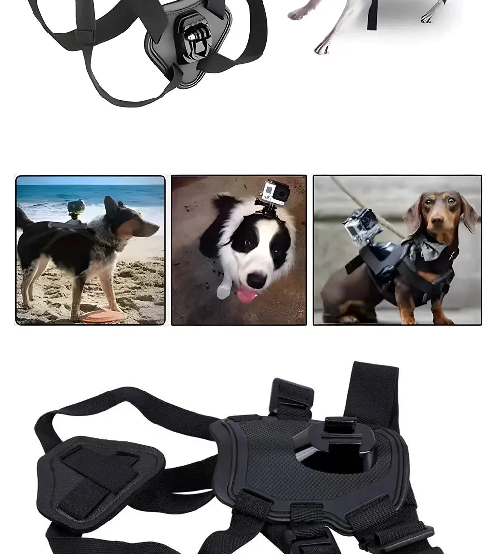 Adventure Dog Camera Harness Mount for GoPro, DJI, and Insta360: Capture the World from Your Dog’s Perspective!