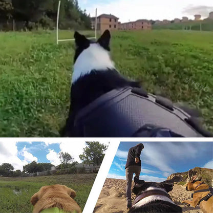 Adventure Dog Camera Harness Mount for GoPro, DJI, and Insta360: Capture the World from Your Dog’s Perspective!