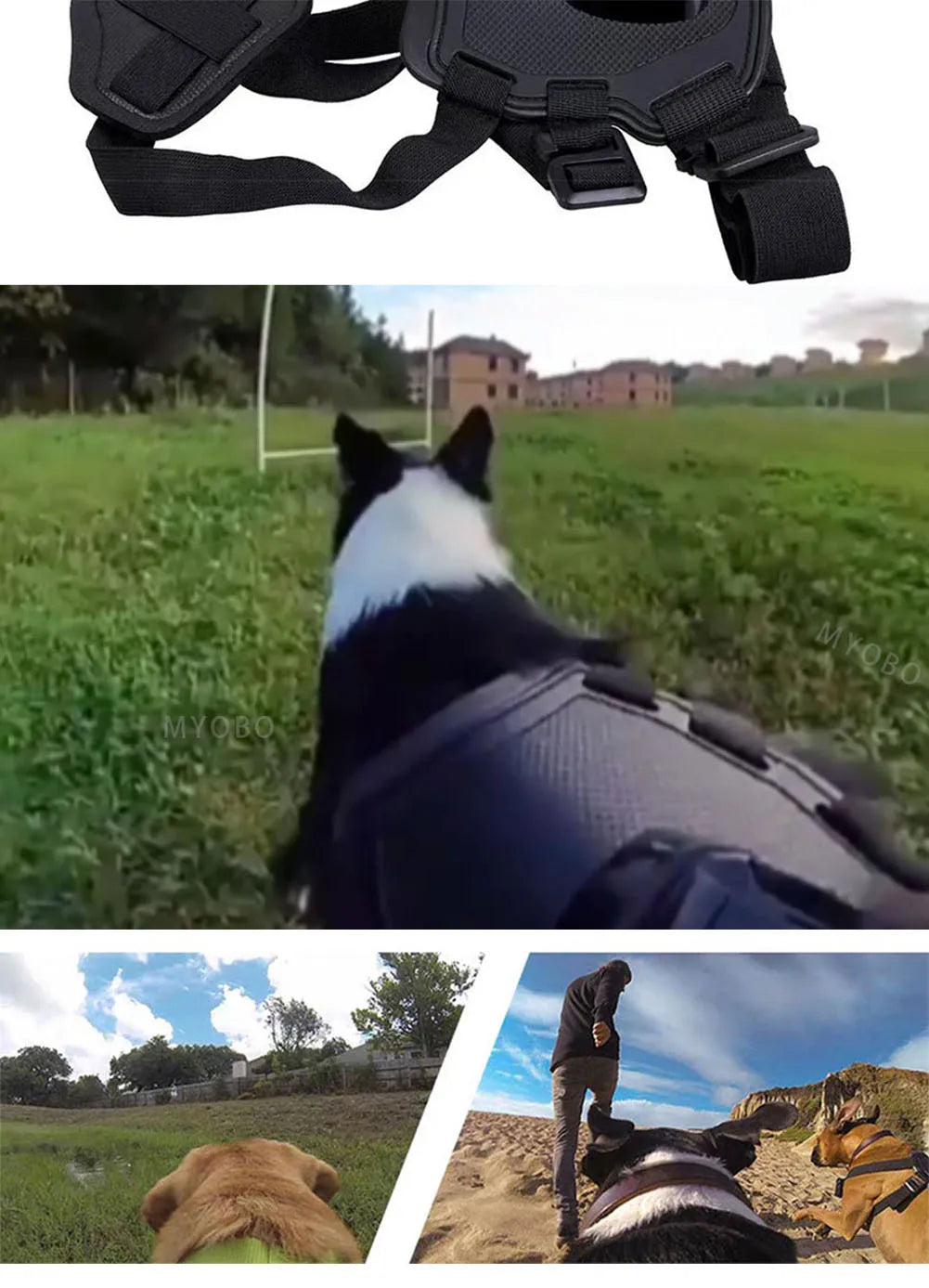 Adventure Dog Camera Harness Mount for GoPro, DJI, and Insta360: Capture the World from Your Dog’s Perspective!