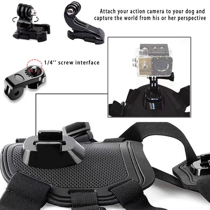 Adventure Dog Camera Harness Mount for GoPro, DJI, and Insta360: Capture the World from Your Dog’s Perspective!