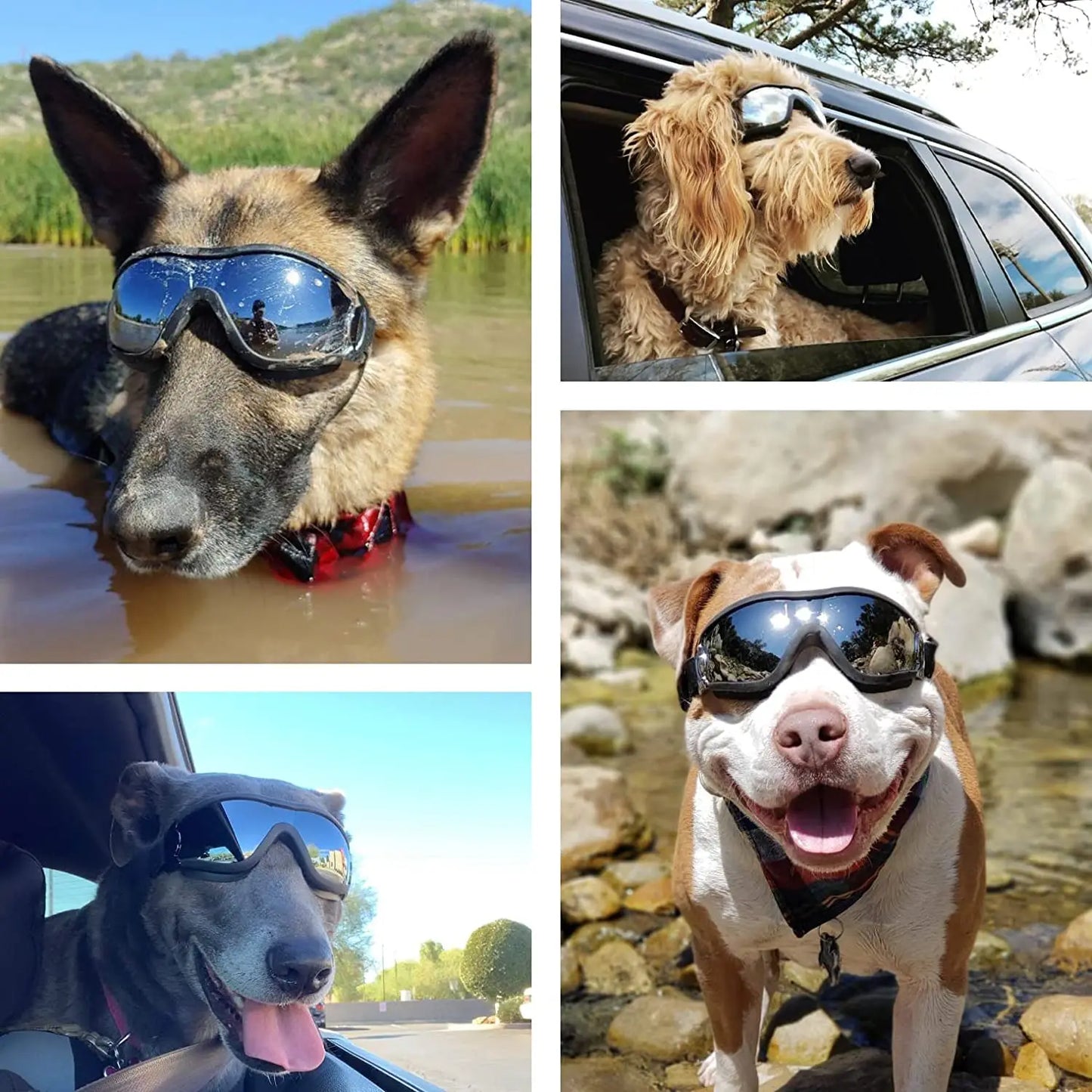 Pup Shades: Stylish Dog Sunglasses with Adjustable Strap – Ultimate Eye Protection for Adventure-Ready Dogs!