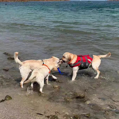 Nautical Paws Reflective Dog Life Jacket – The Ultimate Blend of Safety, Comfort, and Style for Every Aquatic Adventure!