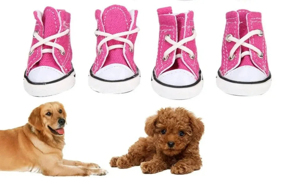 Pink Converse Dog Shoes