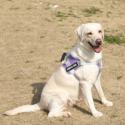 Personalized Service Dog Harness: Custom Name & Reflective Adjustable Vest