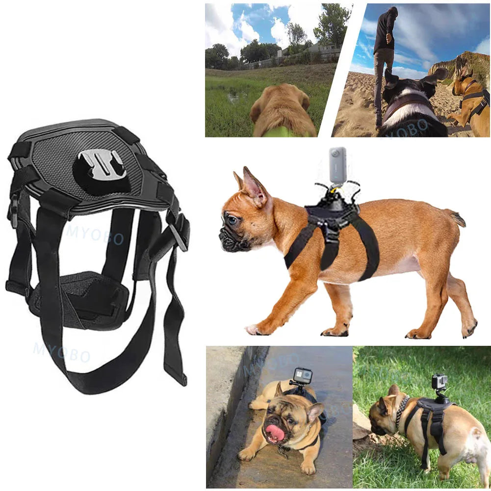 Adventure Dog Camera Harness Mount for GoPro, DJI, and Insta360: Capture the World from Your Dog’s Perspective!