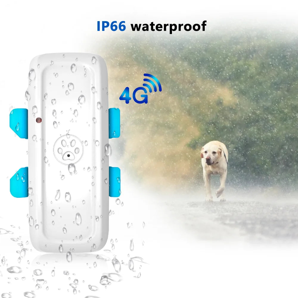 Real-Time GPS Dog Tracker TK911Pro: Ultimate Pet Safety