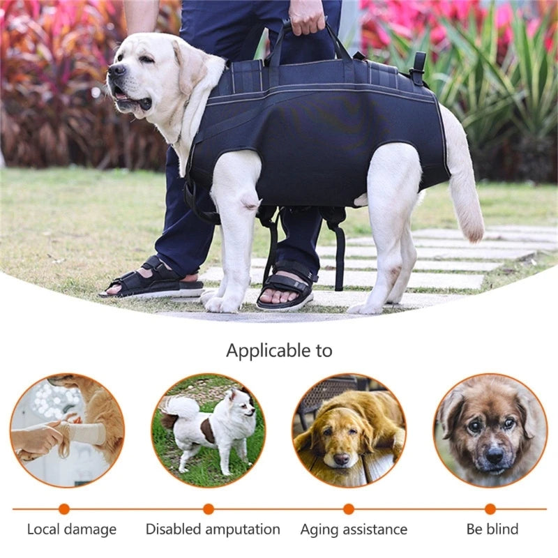 Canine Support Harness: Enhanced Mobility for Your Dog