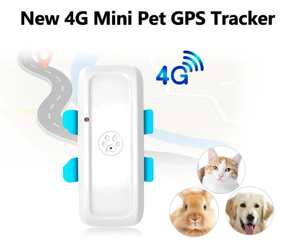 Real-Time GPS Dog Tracker TK911Pro: Ultimate Pet Safety