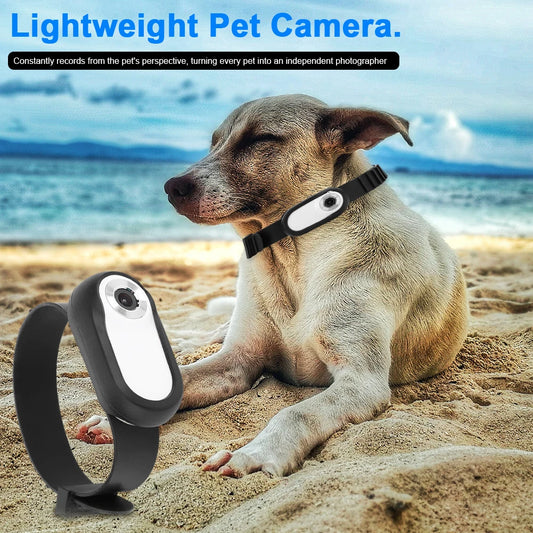 HD 1080P Sport/Action Multi-Functional Camera Collar