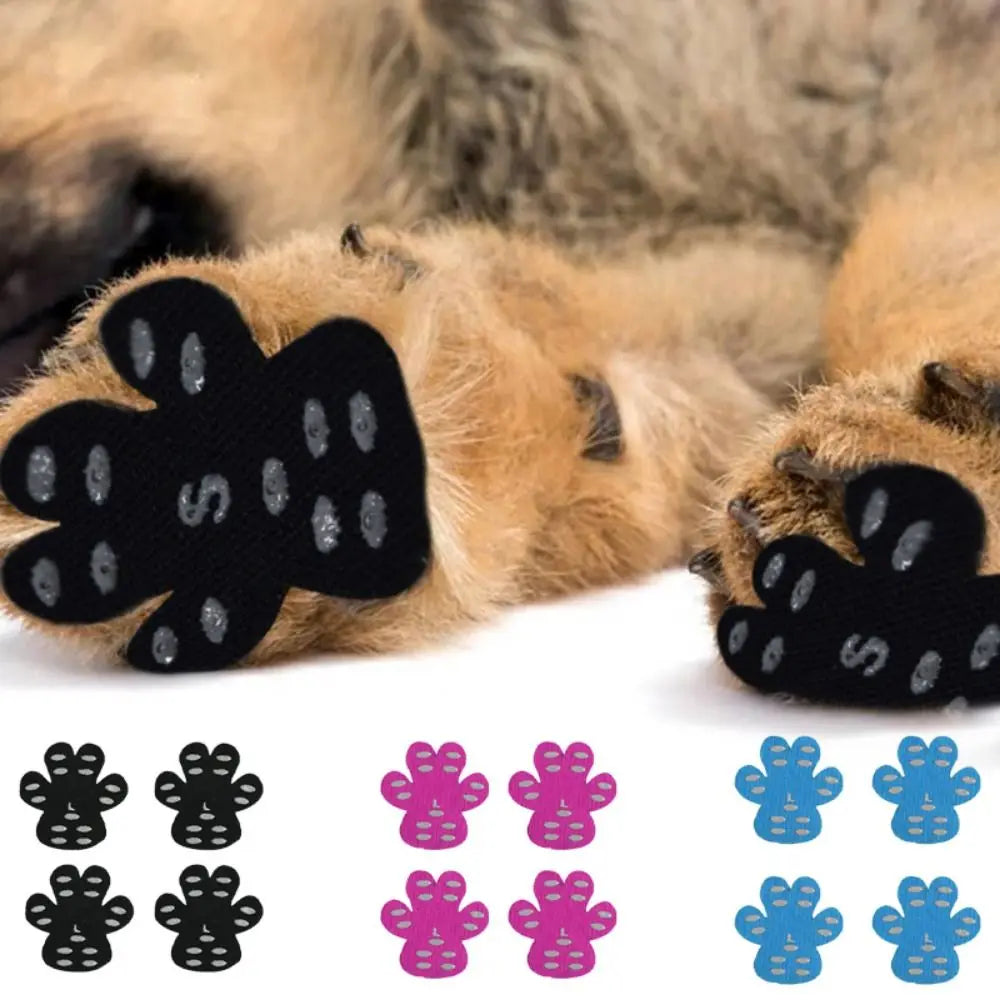 Skidproof Dog Paw Protectors in Pink, Black & Caribbean Blue