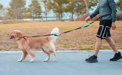 Hands-Free Dog Leash with Reflective Bungee and Adjustable Waist Belt