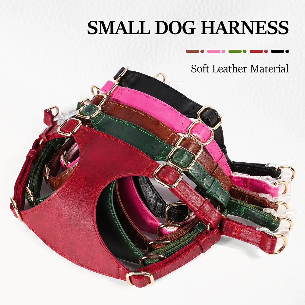 Bordeaux Luxe Leather Dog Harness & Leash Set: Exquisite Comfort for Sophisticated Small & Medium Dogs