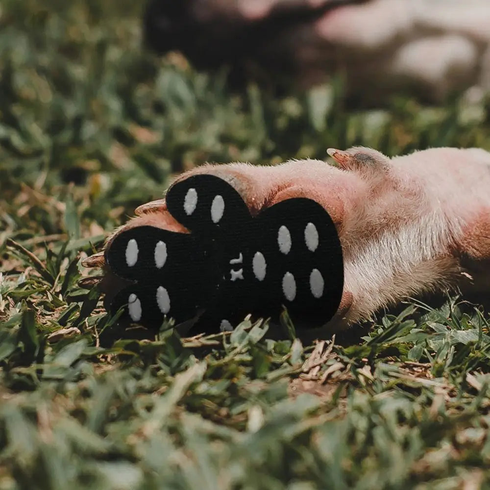 Skidproof Dog Paw Protectors in Pink, Black & Caribbean Blue