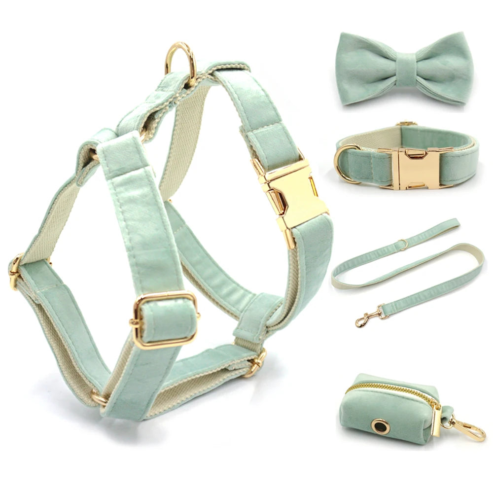 Mint Velvet Personalized Dog Harness & Leash Collection