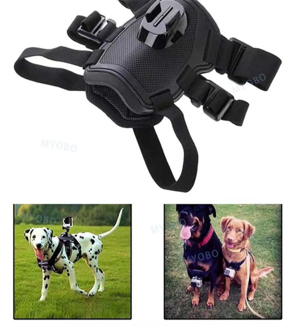 Adventure Dog Camera Harness Mount for GoPro, DJI, and Insta360: Capture the World from Your Dog’s Perspective!