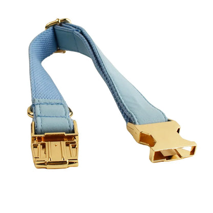 Coastal Blue Leather Personalized Harness & Leash Collection